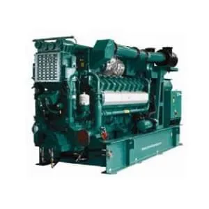 Grupo Gerador a Gás C2000 N6C